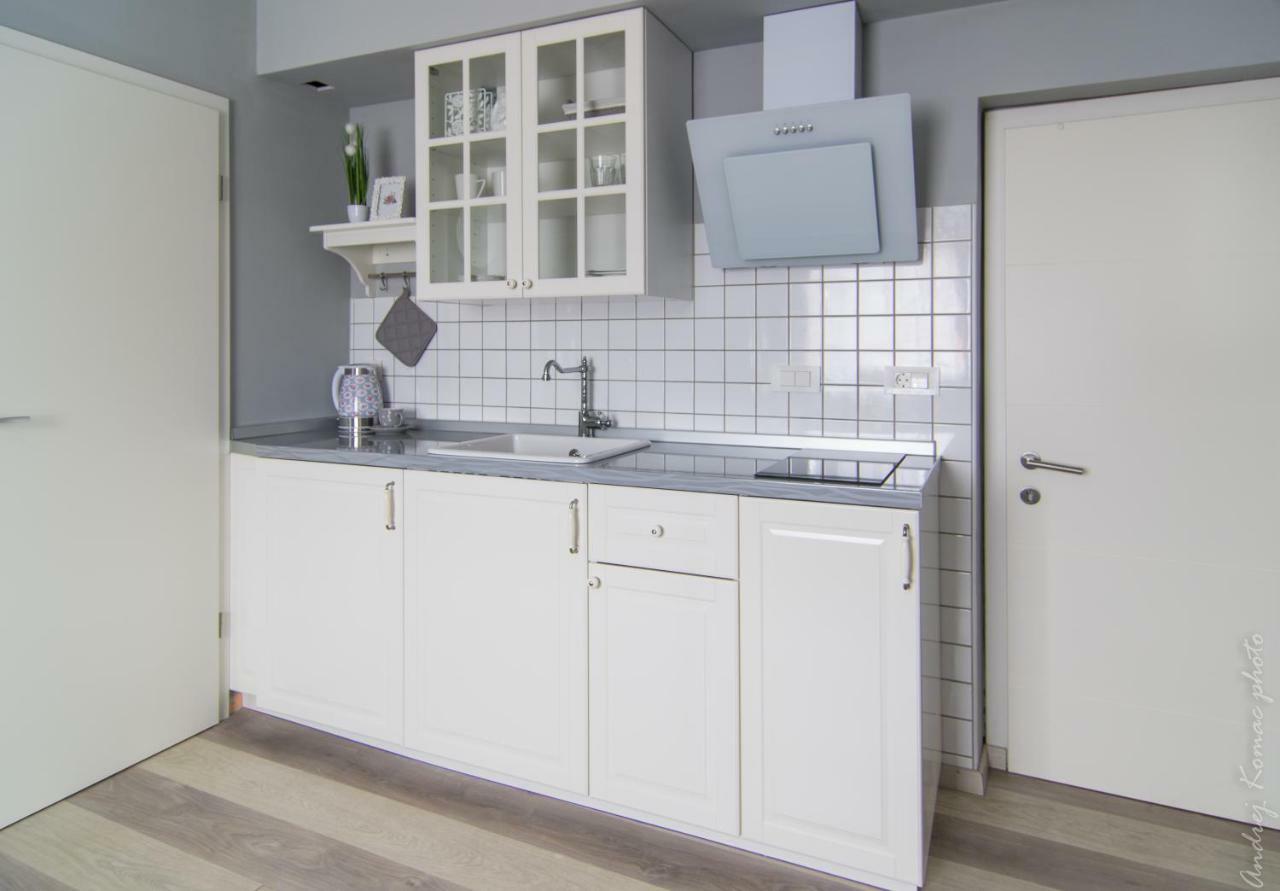 Villa Romana - Free Private Parking Любляна Екстер'єр фото